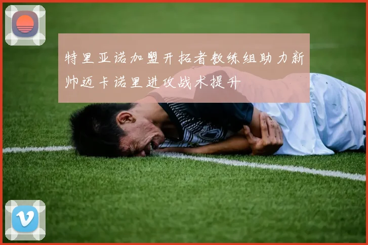 特里亚诺加盟开拓者教练组助力新帅迈卡诺里进攻战术提升